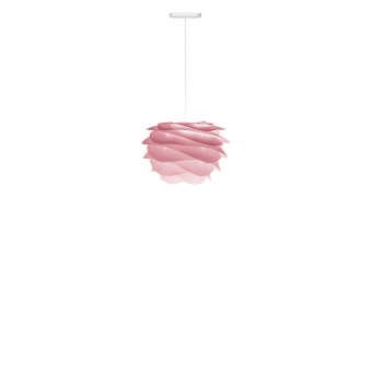 carmina_mini_rose_wiszaca_umage