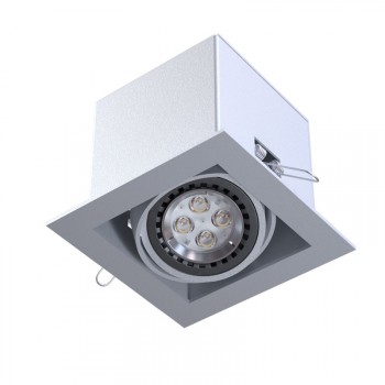 Molina_T153R1_wpuszczana_Cleoni