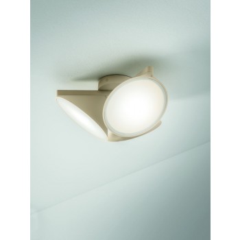 orchid_sand_natynkowa_axo_ligh