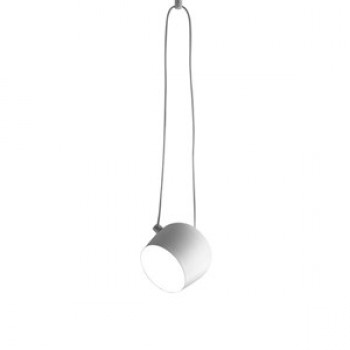 PI_F0090009_aim_bialy_wiszaca_flos
