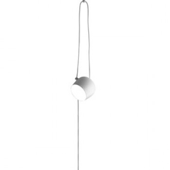 PI_F0097009_aim_small_bialy_wiszaca_flos