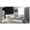 brick_panel_scienny_dappi_2