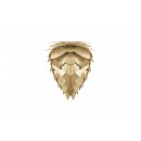 conia_tripod_mini_brass_podlogowa_umage