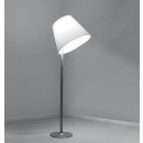 melampo_image731217-700x500