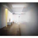 mite_yellow_room_set_fosacrini