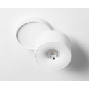 mono_move_lv_nt_labra