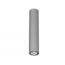 Pixo_T068Y3_wpuszczana_Cleoni