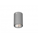 Pixo_T068Y_wpuszczana_Cleoni