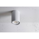 Proxa_NT_edge.LE_LABRA